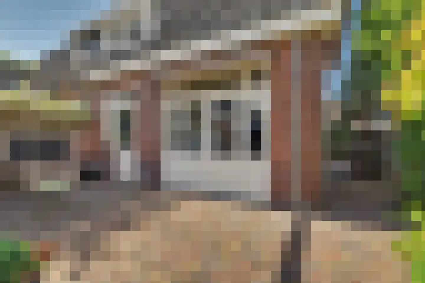 Dillenburgstraat 6 Gorinchem thumbnail 41