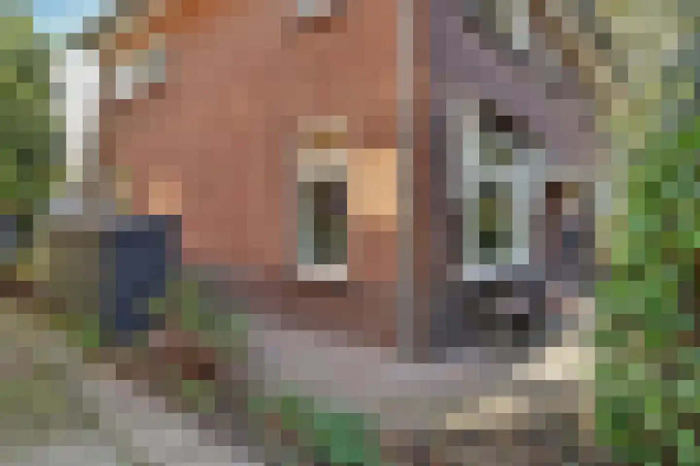 Dillenburgstraat 6 Gorinchem thumbnail 8