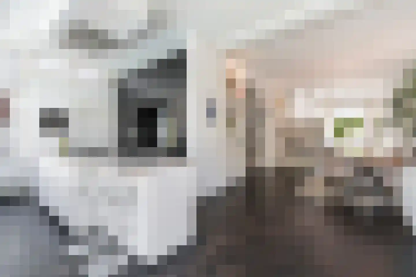 Dillenburgstraat 63 Breda thumbnail 17