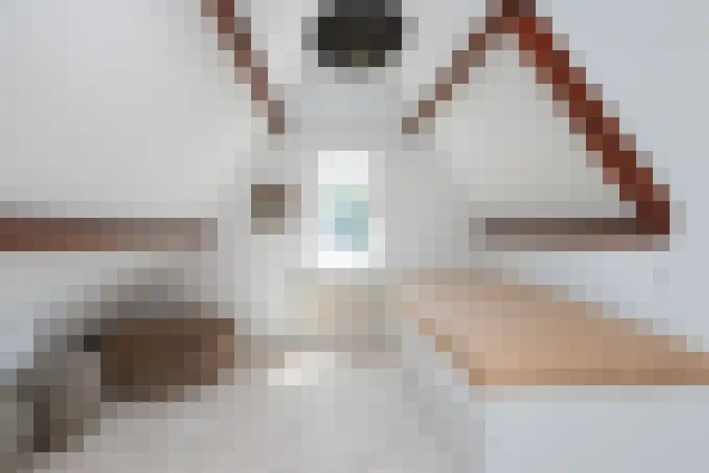 Dillenburgstraat 63 Breda thumbnail 36