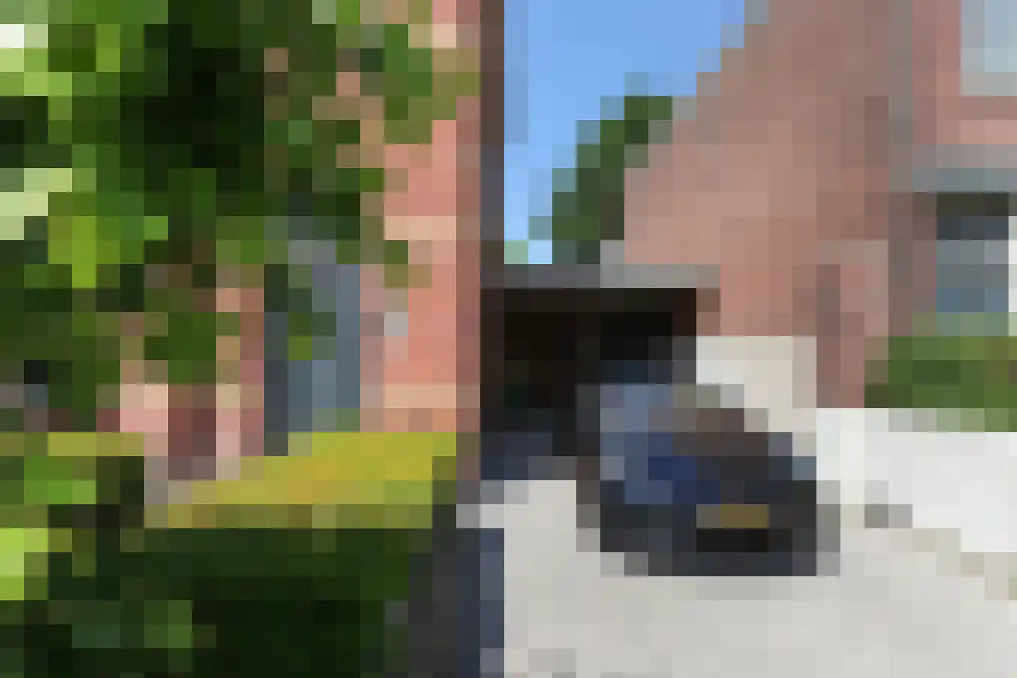 Dillenburgstraat 63 Breda thumbnail 49