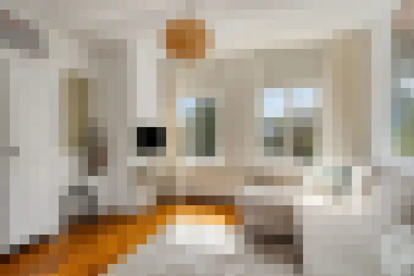 Dillenburgstraat 78 A Breda thumbnail 31