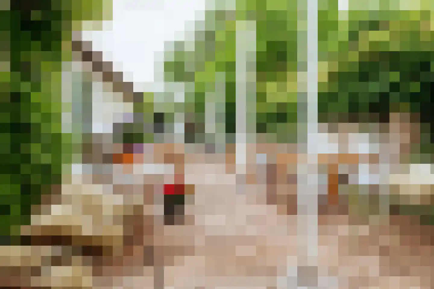 Dillenburgstraat 78 Breda thumbnail 40