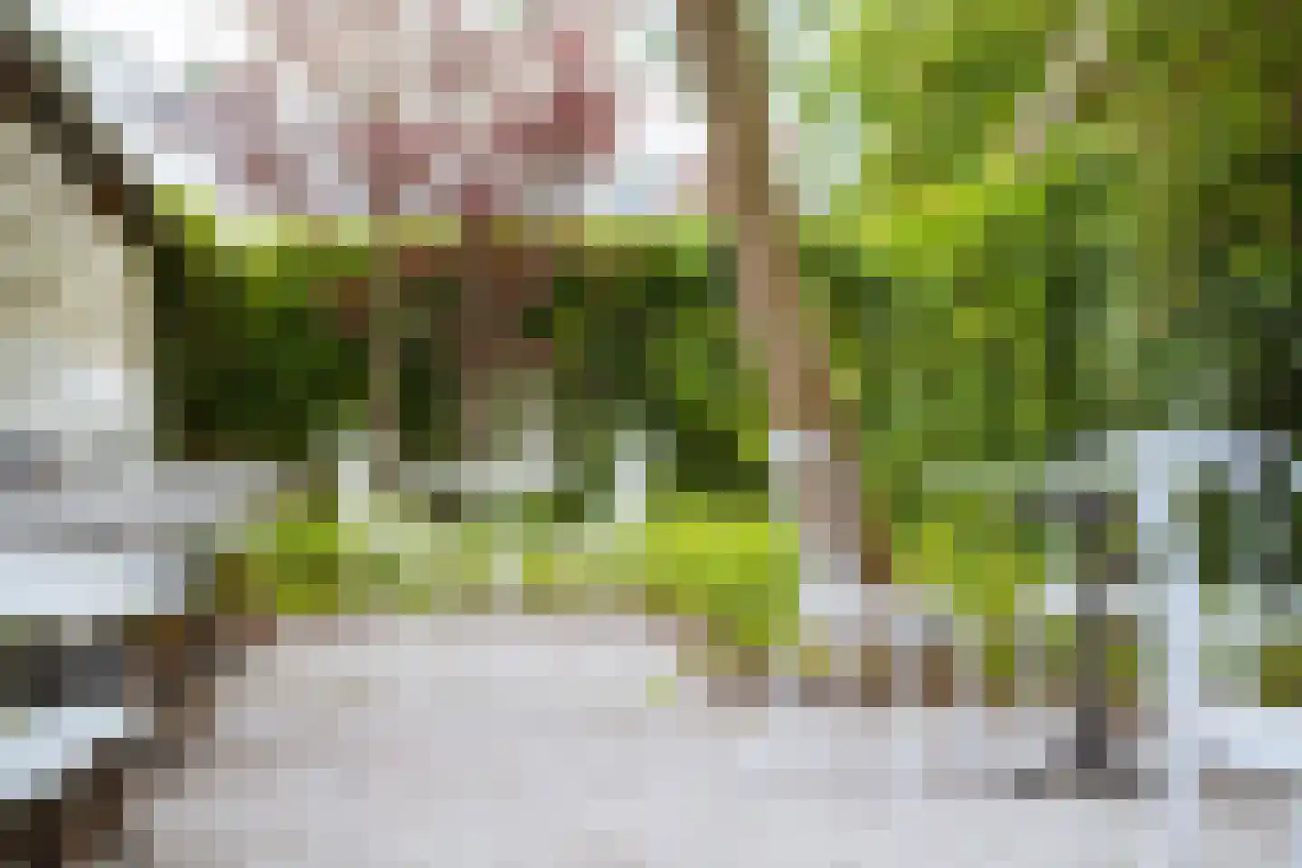 Dillenburgstraat 78 Breda thumbnail 45