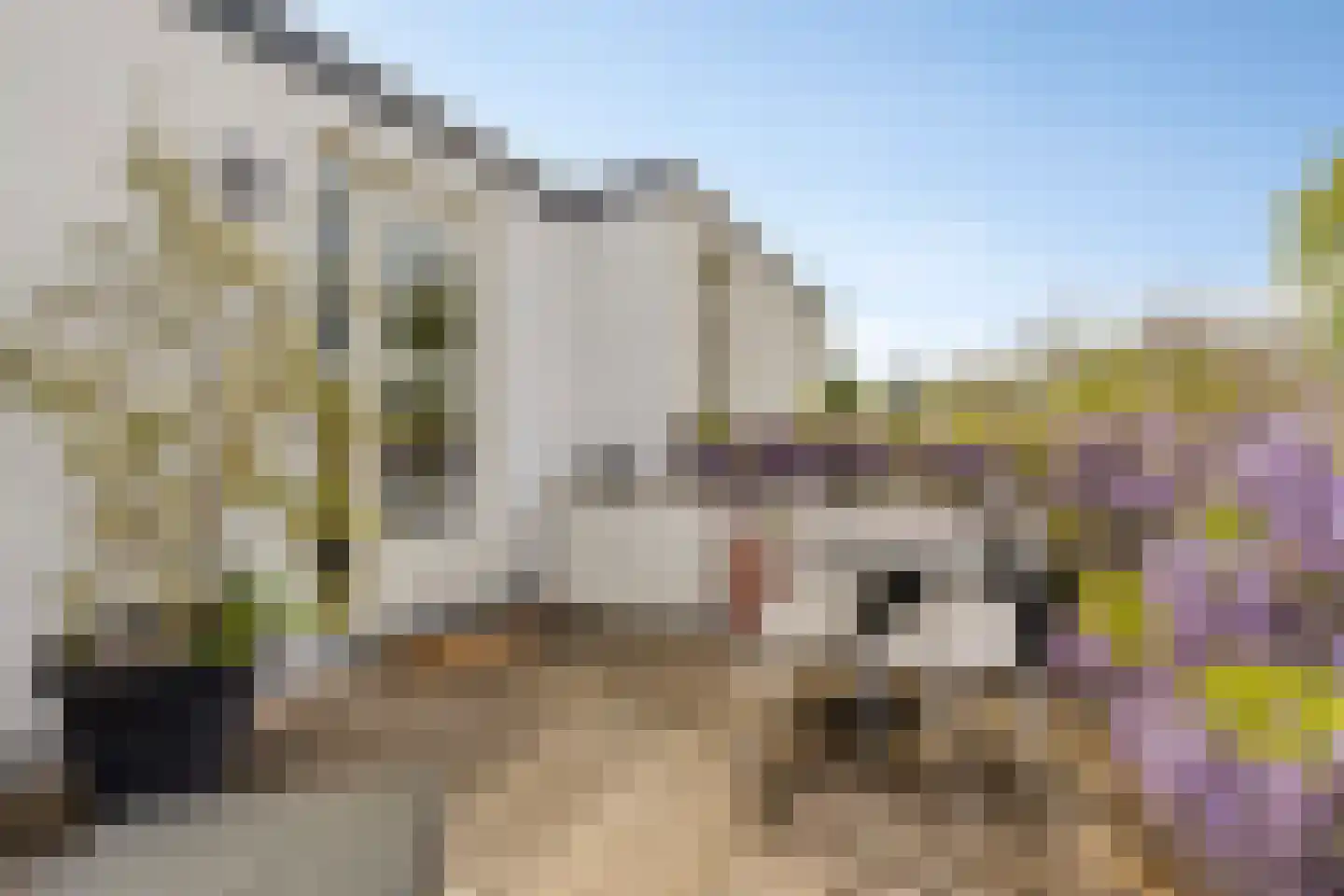 Dillenburgstraat 78 Breda thumbnail 75