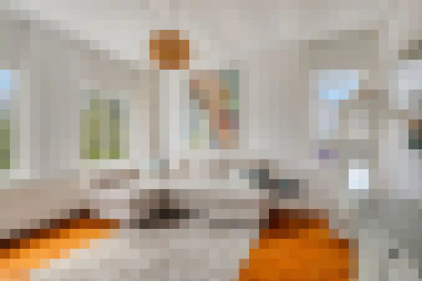 Dillenburgstraat 78 Breda thumbnail 83