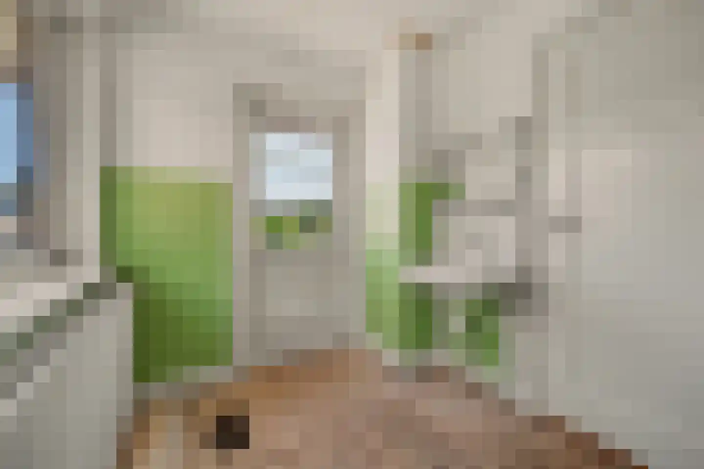 Dillenburgstraat 8 Gorinchem thumbnail 37