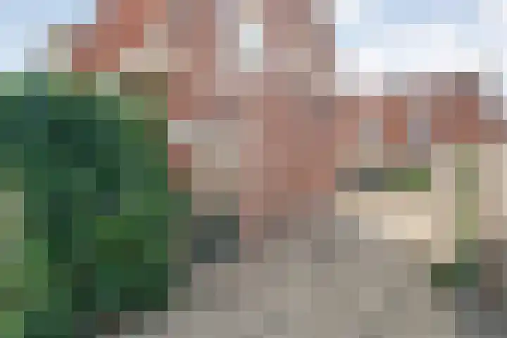 Dillenburgstraat 9 Nijverdal thumbnail 32