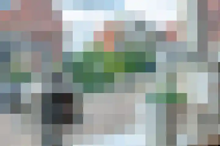 Dillenburgstraat 9 Nijverdal thumbnail 8