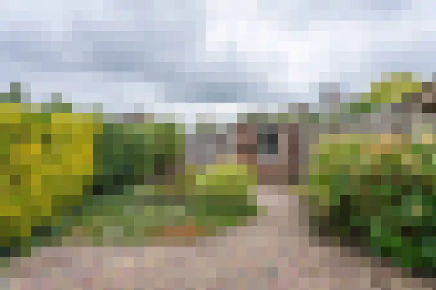 Dillestraat 1 Voorhout thumbnail 35