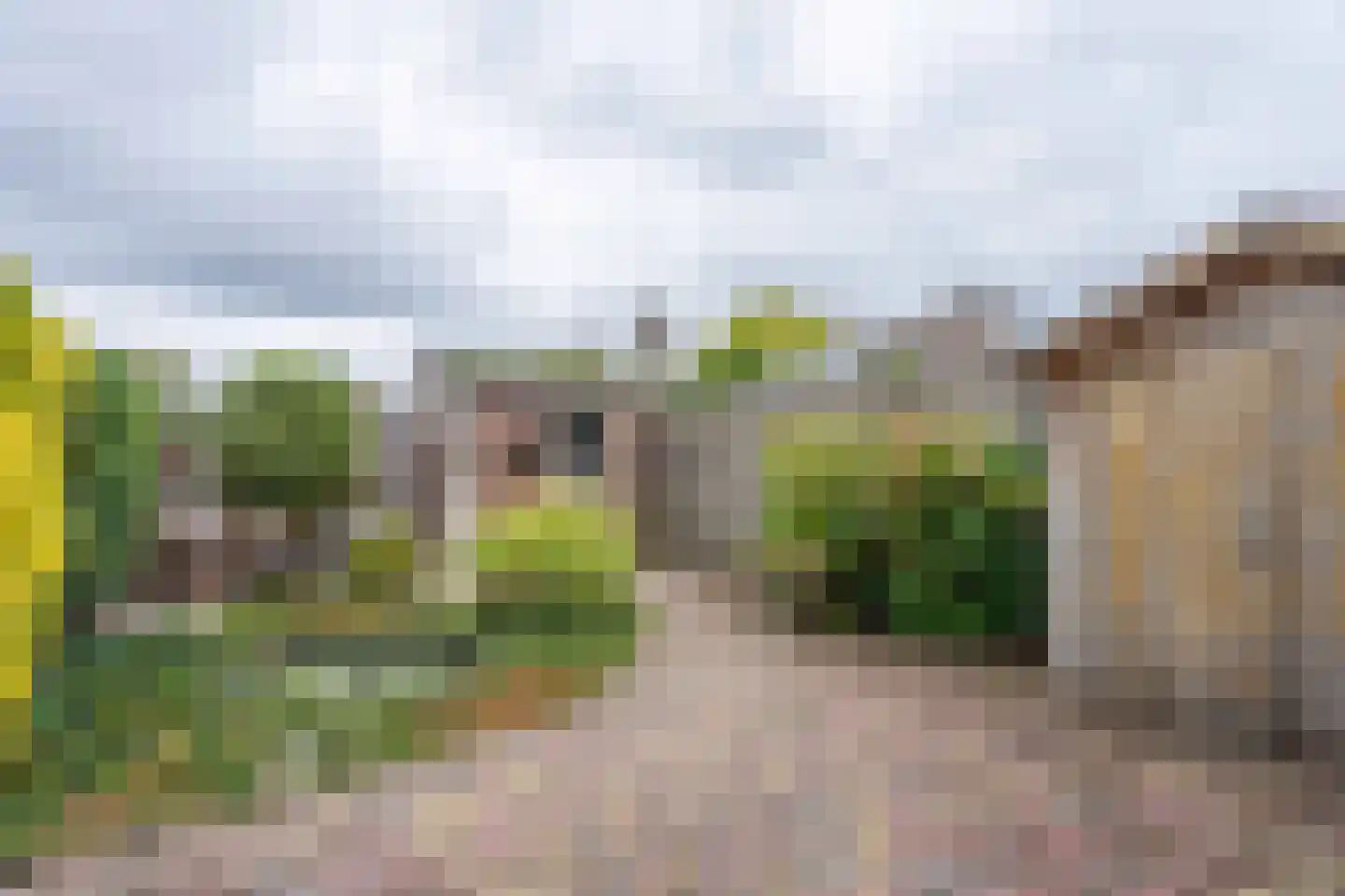 Dillestraat 1 Voorhout thumbnail 36