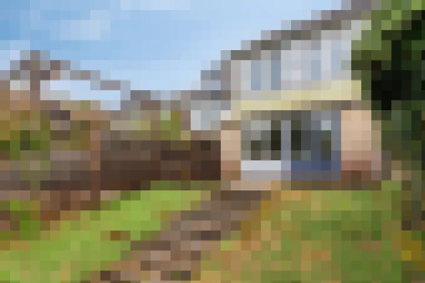 Dillestraat 18 Haarlem thumbnail 14
