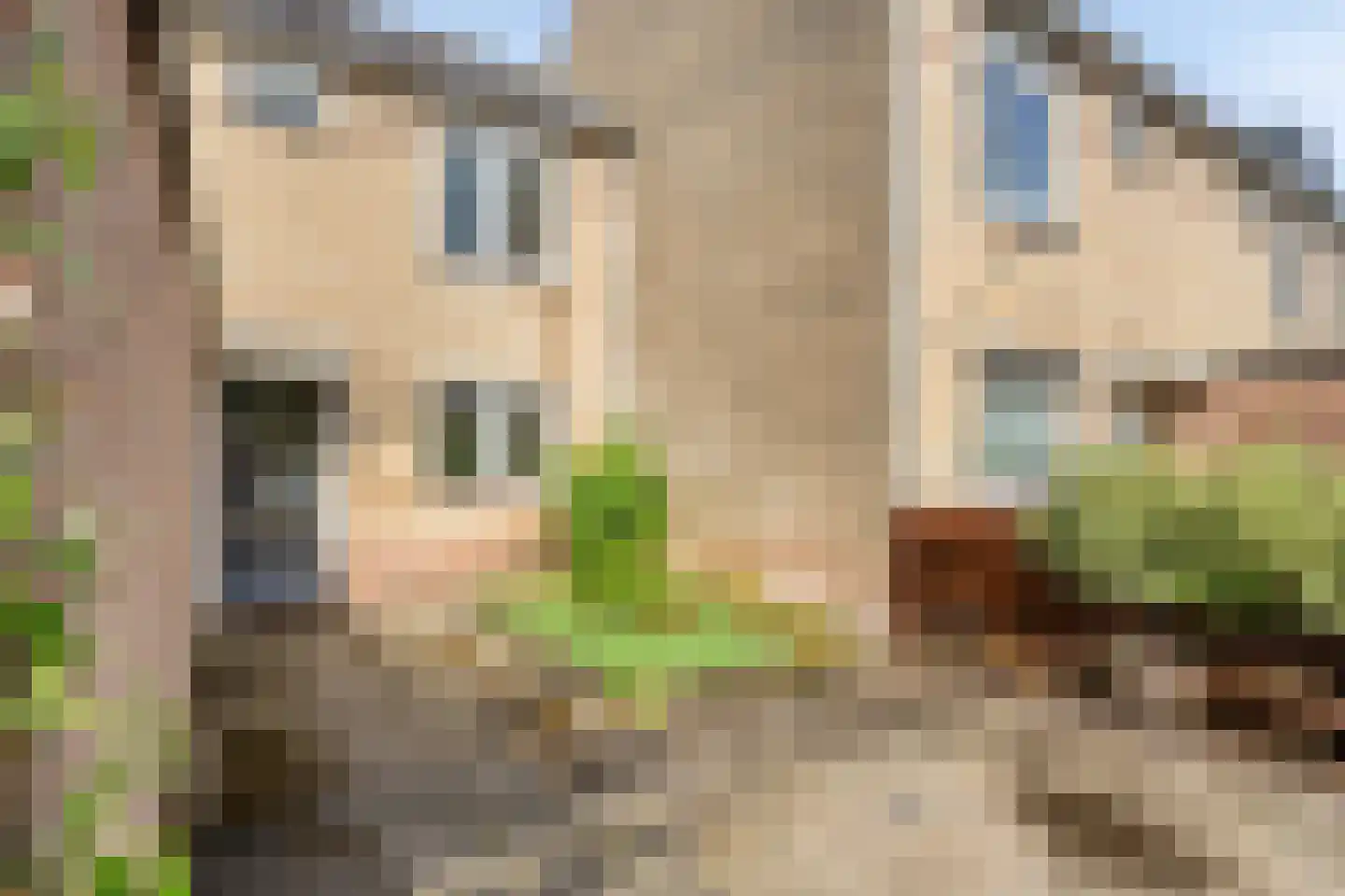 Dillestraat 18 Haarlem thumbnail 26