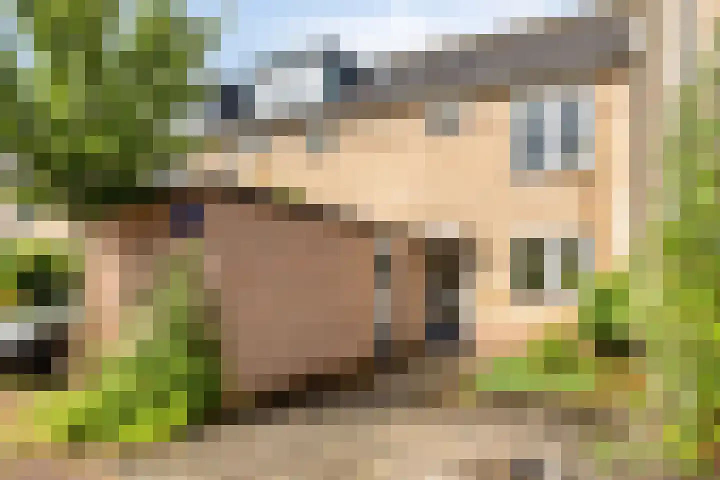 Dillestraat 18 Haarlem thumbnail 27