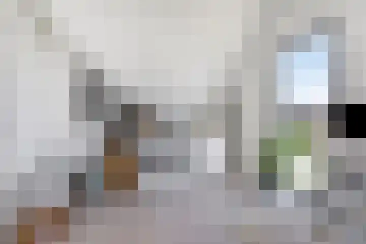 Dillestraat 37 Nijmegen thumbnail 30