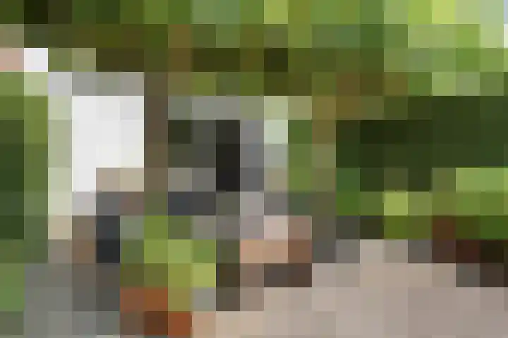 Dillestraat 37 Nijmegen thumbnail 33