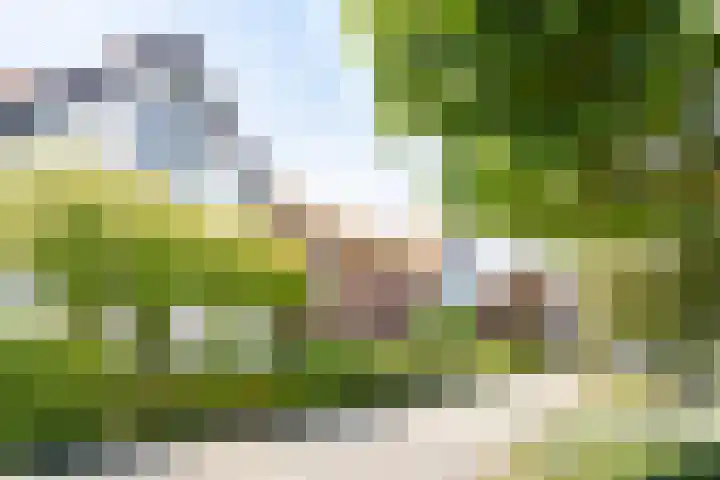 Dillestraat 37 Nijmegen thumbnail 35