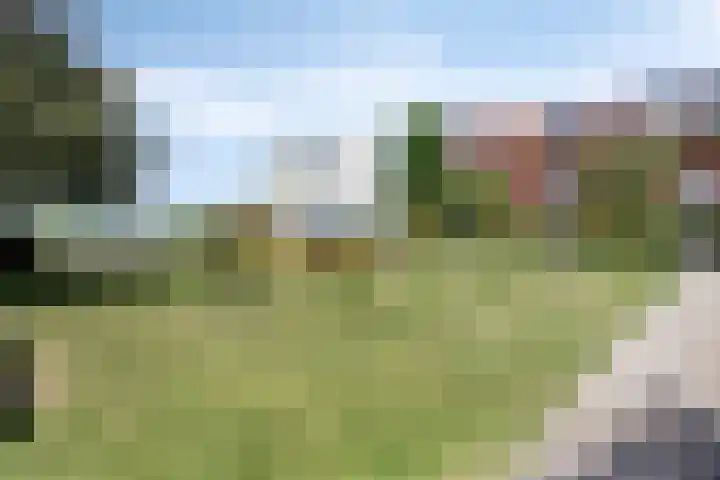 Dillestraat 37 Nijmegen thumbnail 36