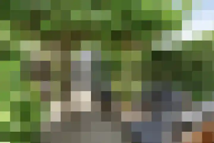Dillestraat 37 Nijmegen thumbnail 6
