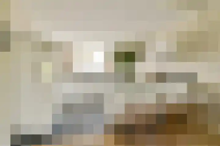 Dillestraat 4 Voorhout thumbnail 10