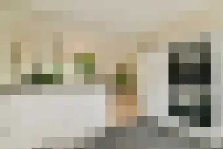 Dillestraat 4 Voorhout thumbnail 12
