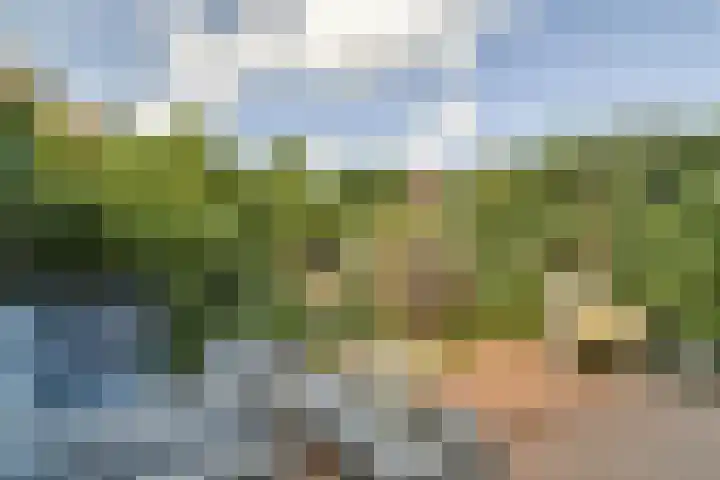 Dillestraat 4 Voorhout thumbnail 13