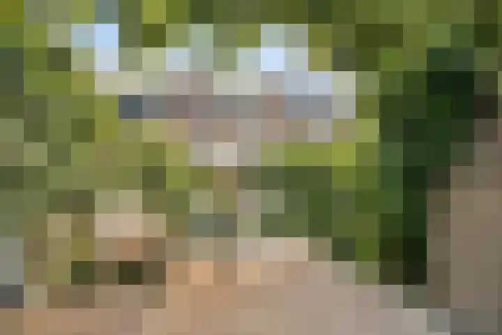 Dillestraat 4 Voorhout thumbnail 17