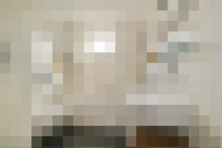 Dillestraat 4 Voorhout thumbnail 24
