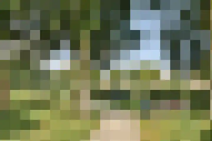 Dillestraat 4 Voorhout thumbnail 35