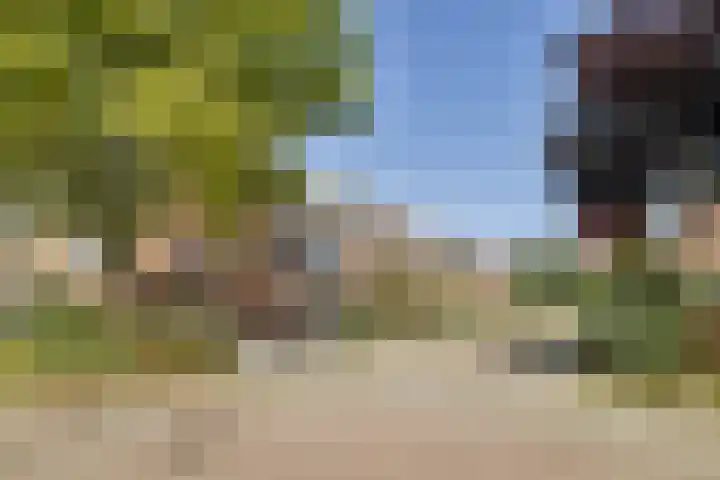 Dillestraat 4 Voorhout thumbnail 37