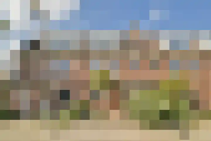 Dillestraat 4 Voorhout thumbnail 42