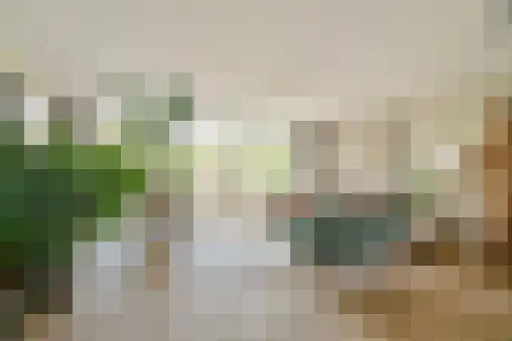 Dillestraat 4 Voorhout thumbnail 7