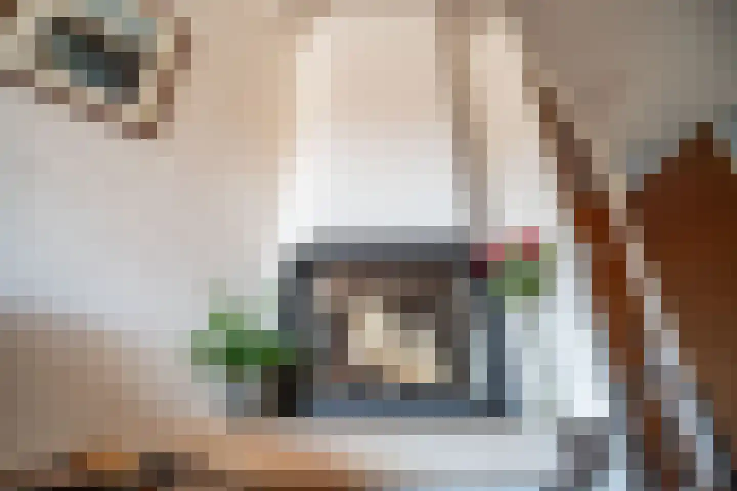 Dillestraat 8 Voorhout thumbnail 13