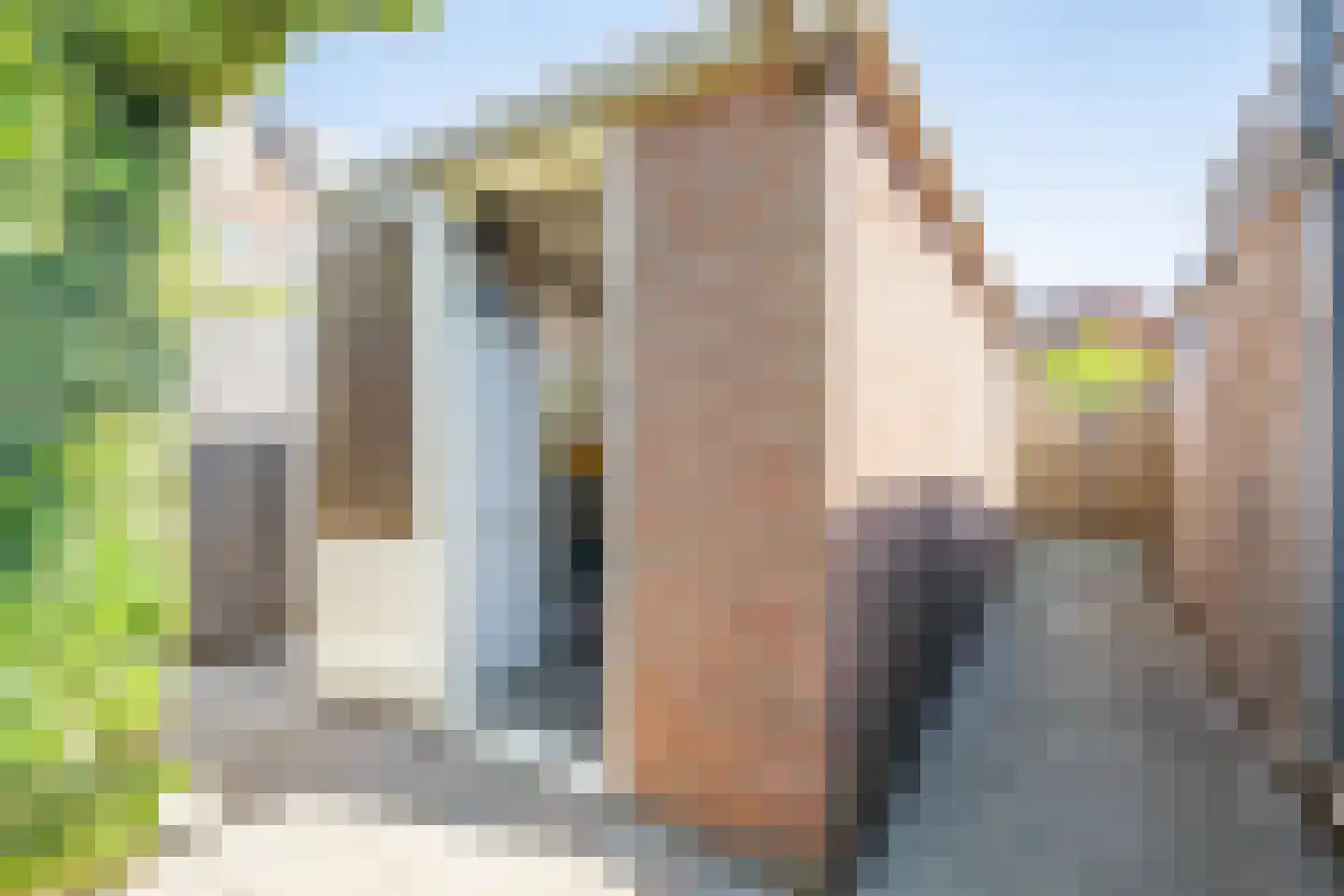 Dillestraat 8 Voorhout thumbnail 25