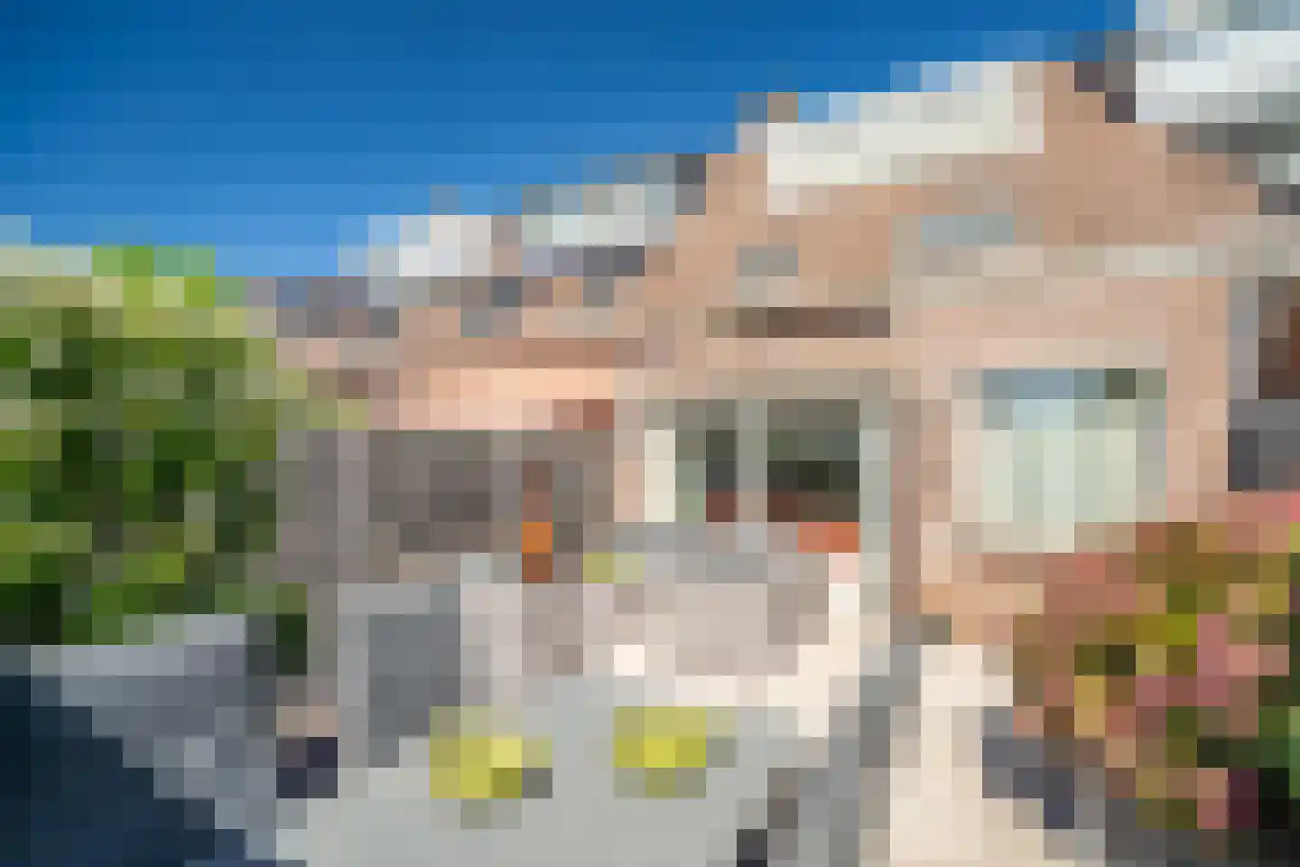 Dillestraat 8 Voorhout thumbnail 27