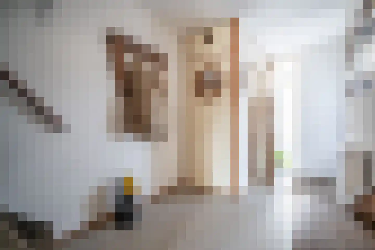 Dillestraat 8 Voorhout thumbnail 29