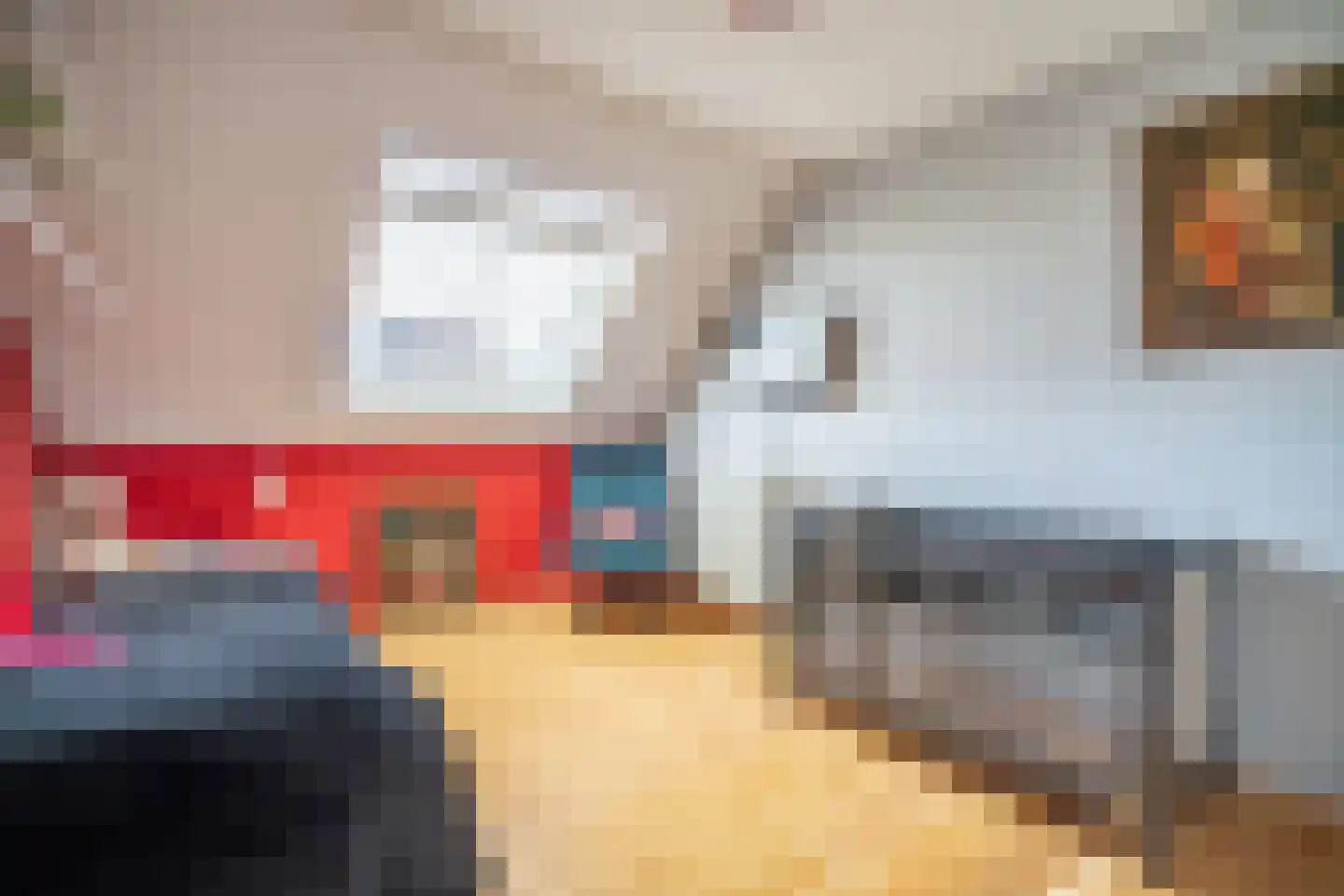 Dillestraat 8 Voorhout thumbnail 43
