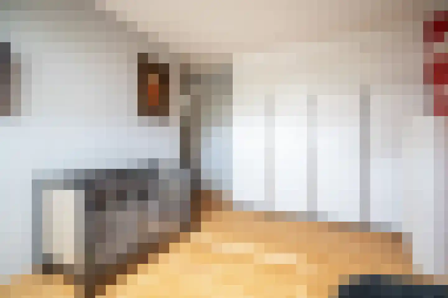 Dillestraat 8 Voorhout thumbnail 45