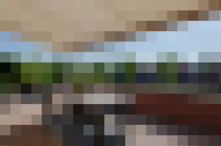 Dilletuin 35 Assen thumbnail 38