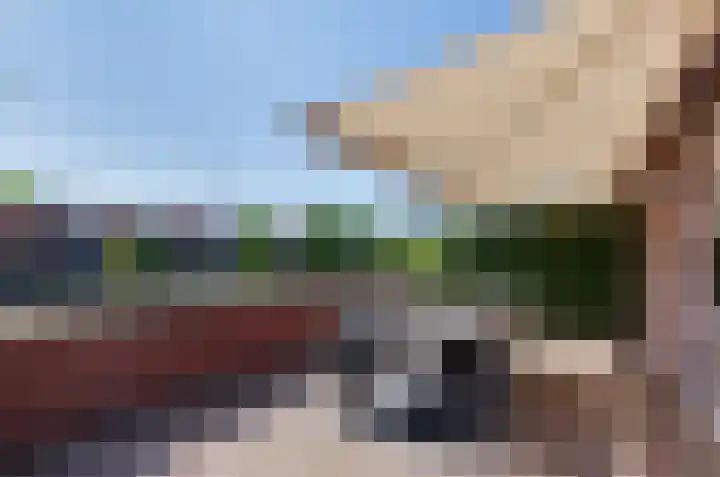Dilletuin 35 Assen thumbnail 39