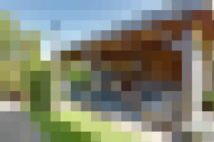 Dilletuin 35 Assen thumbnail 42