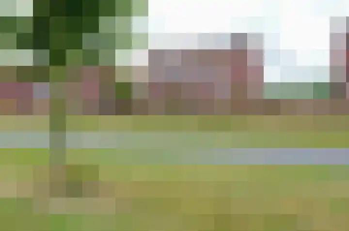 Dilletuin 35 Assen thumbnail 48