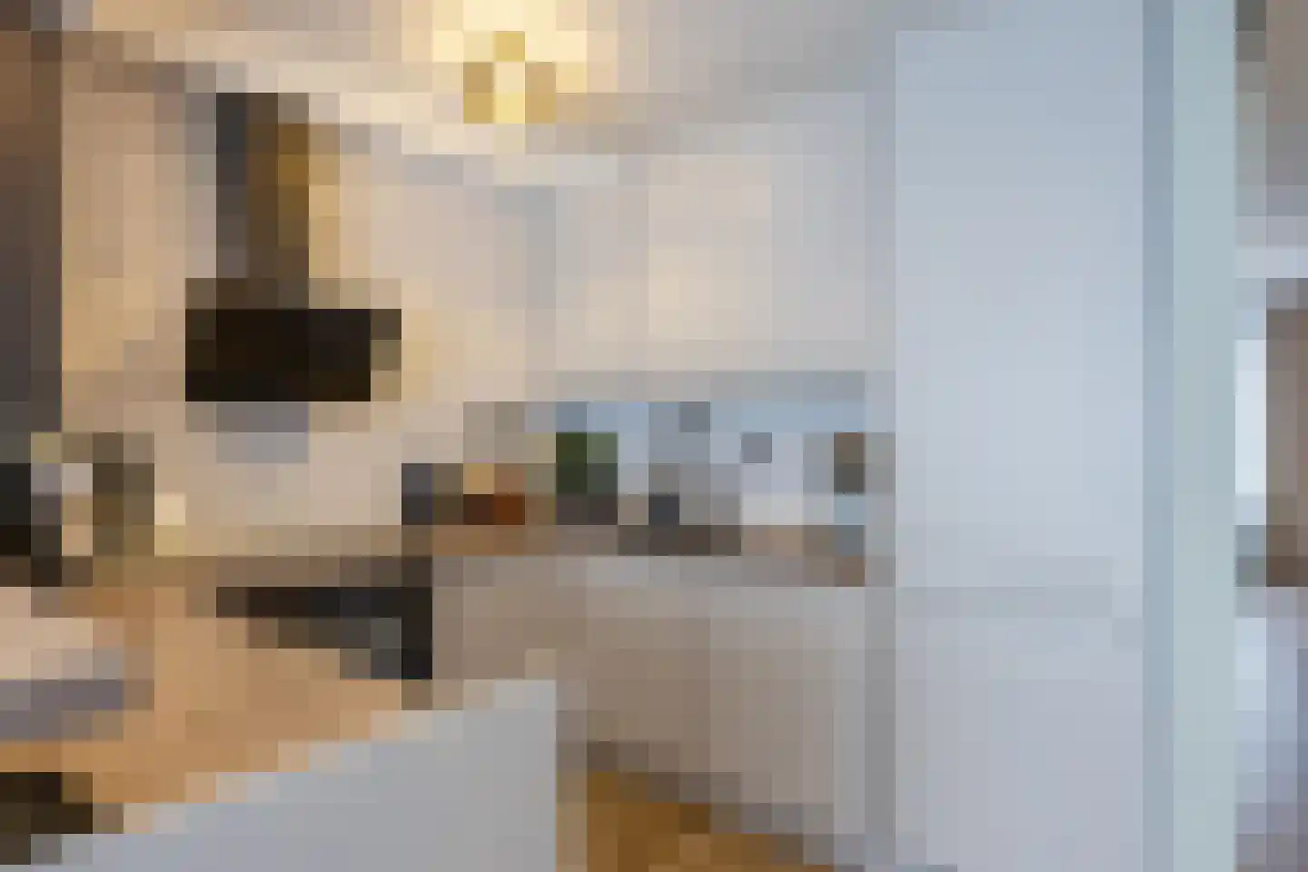 Dilleveld 10 Veghel thumbnail 14