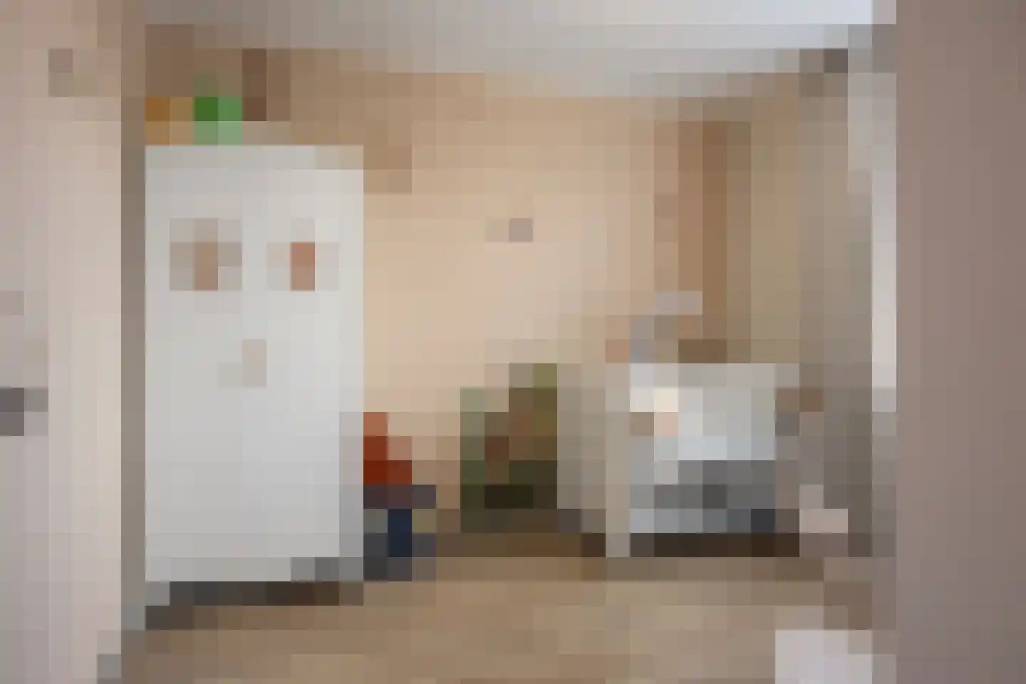 Dilleveld 10 Veghel thumbnail 22