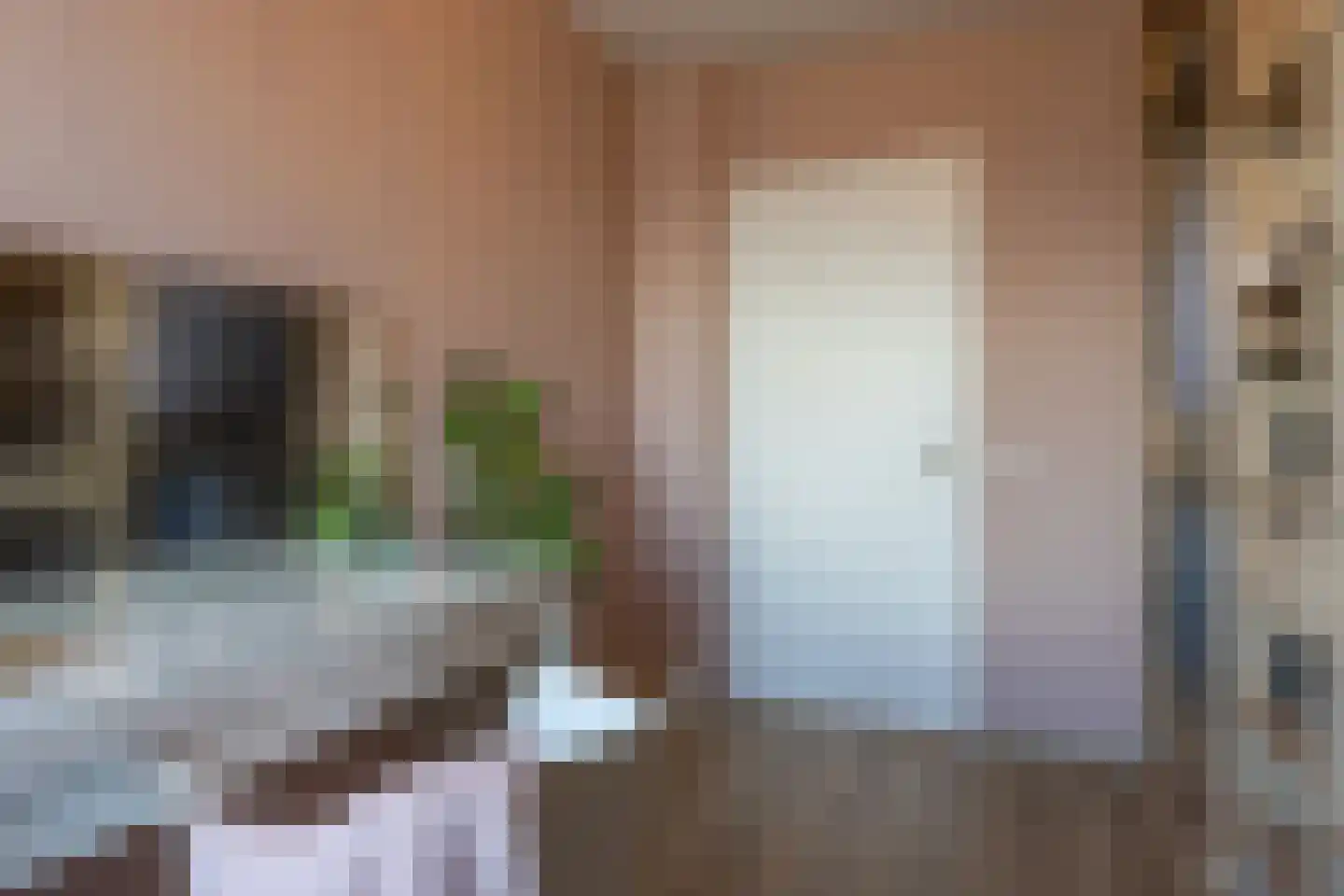 Dilleveld 10 Veghel thumbnail 25