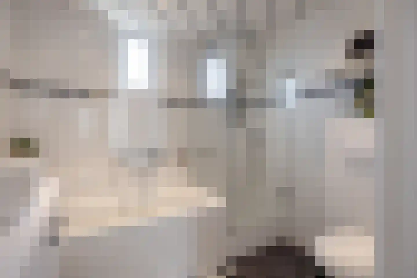 Dilleveld 10 Veghel thumbnail 27