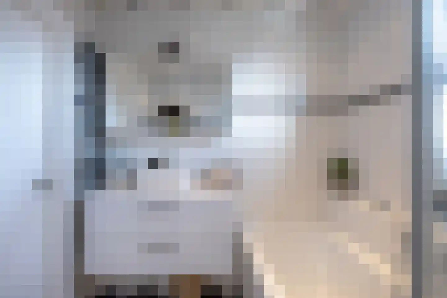 Dilleveld 10 Veghel thumbnail 28