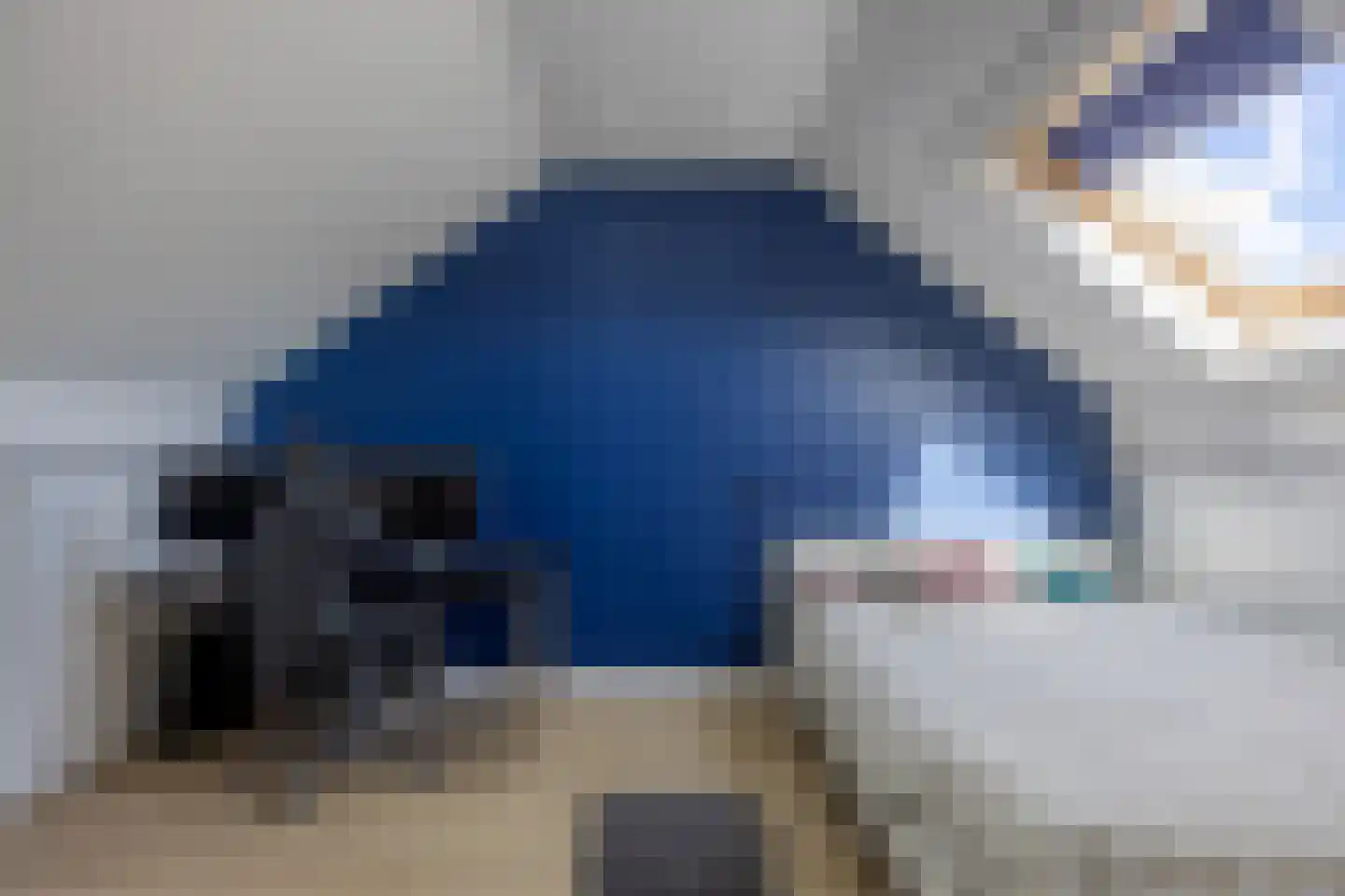 Dilleveld 10 Veghel thumbnail 30