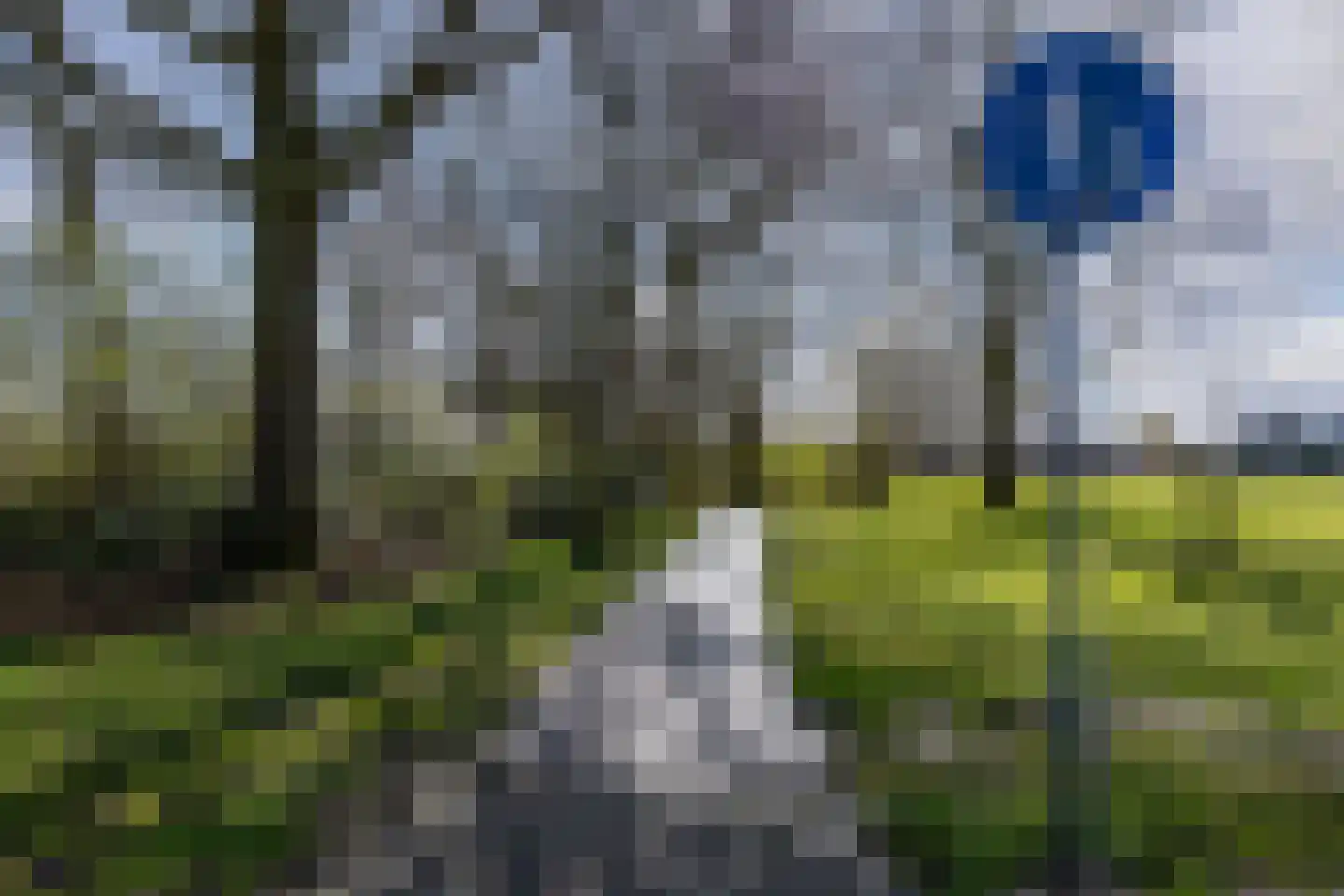 Dilleveld 10 Veghel thumbnail 46