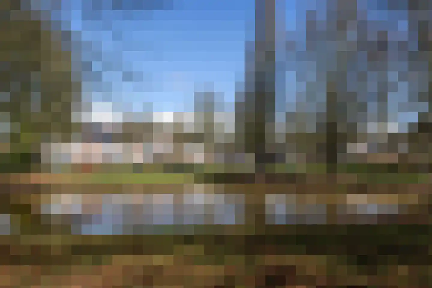 Dilleveld 10 Veghel thumbnail 48